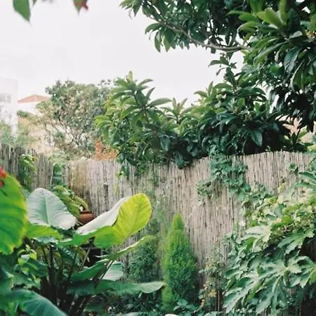 With Private Garden Appartement *