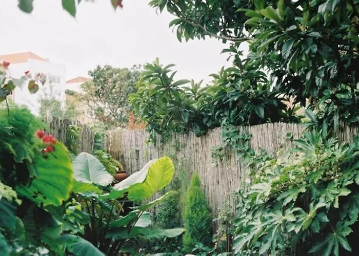 Apartment With Private Garden Apartment *